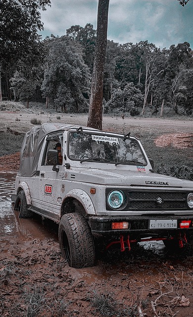 际足联世界 际足联世界