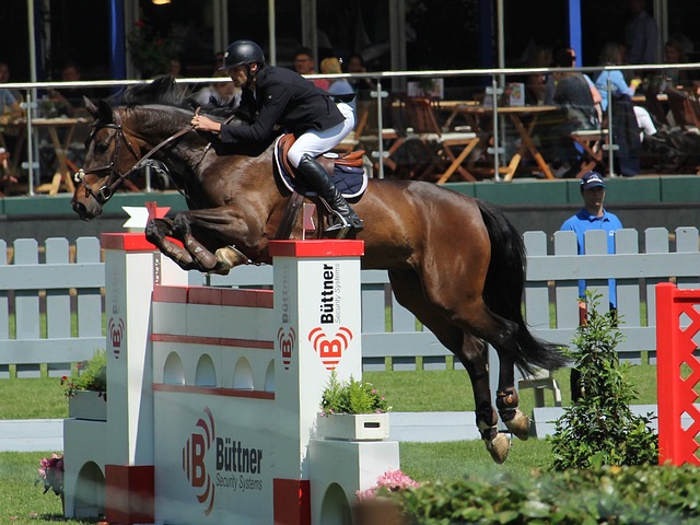 他丰富的技 他丰富的技